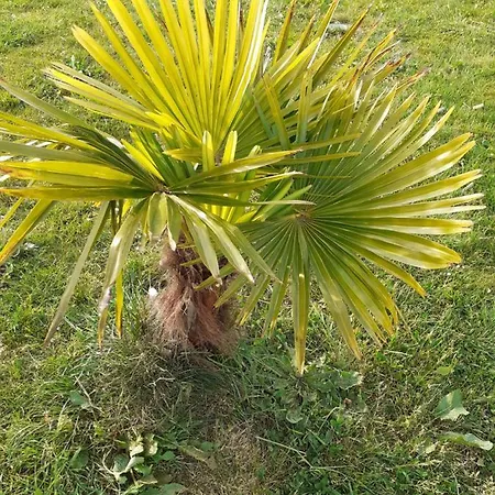 Ty Jeanette بيت للعطل Missillac