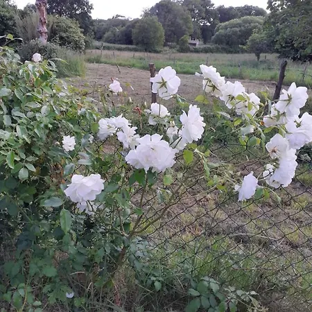 Ty Jeanette بيت للعطل *