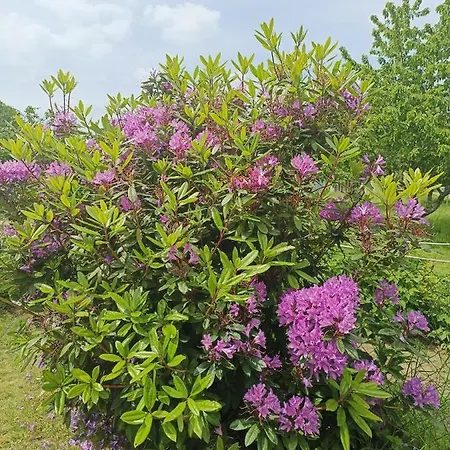 Ty Jeanette بيت للعطل *