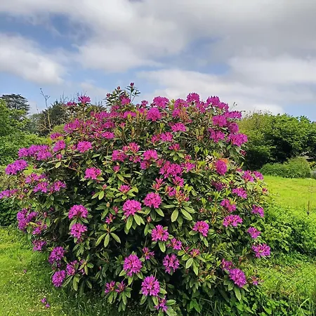 Ty Jeanette بيت للعطل Missillac