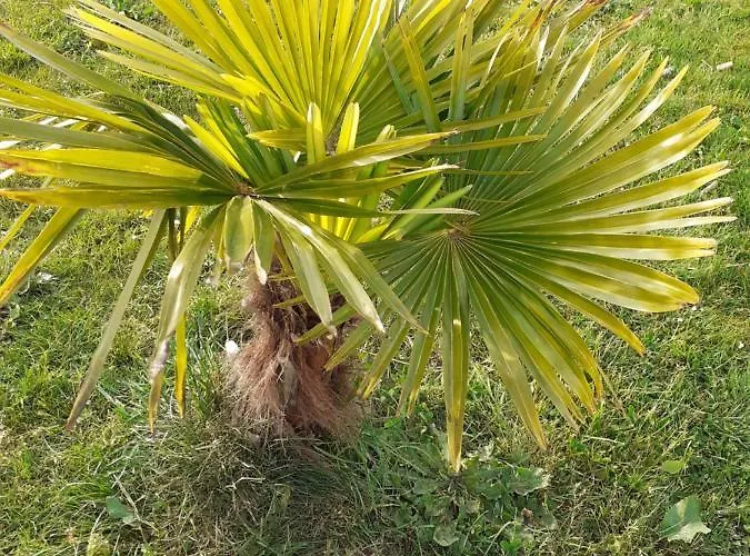 Ty Jeanette Prázdninový dům Missillac