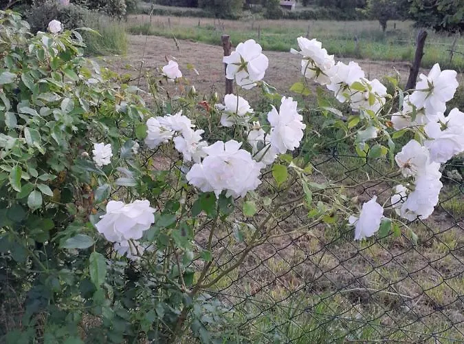 Ty Jeanette Prázdninový dům *