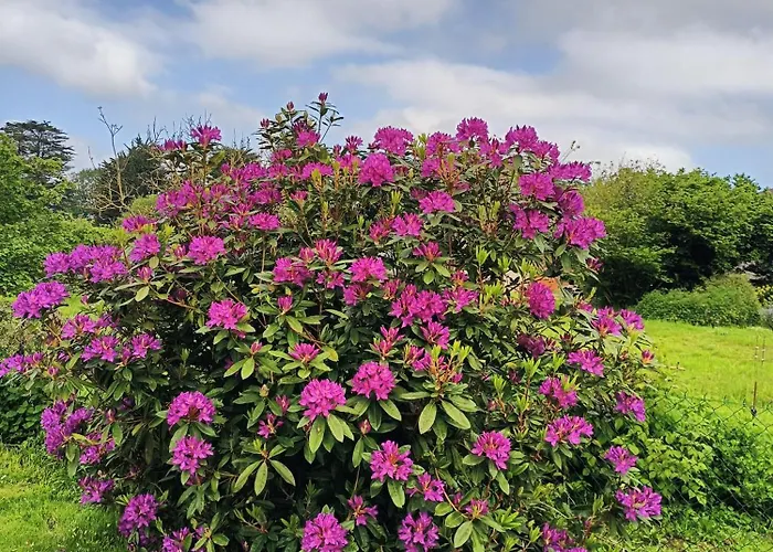Ty Jeanette Prázdninový dům Missillac